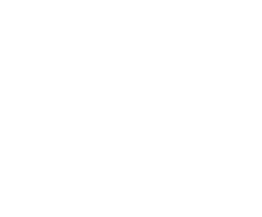 Vó Cida